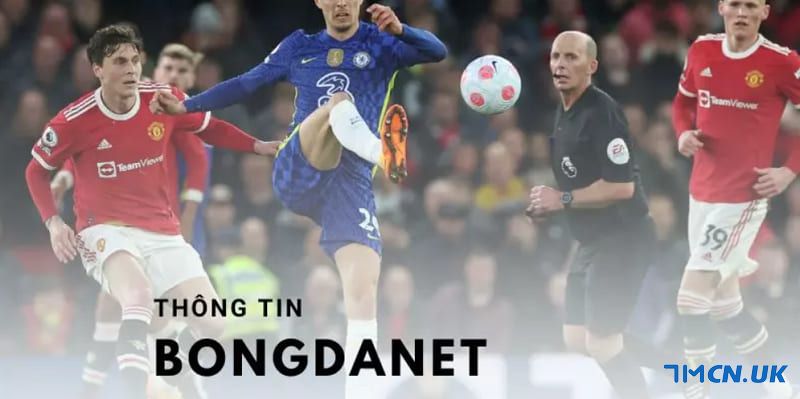 Trang bongdanet.net - Nơi cập nhật kèo cược bóng đá net chất lượng