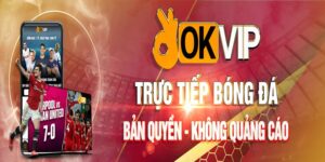 OKVIP là một tập đoàn lớn mạnh như thế nào?