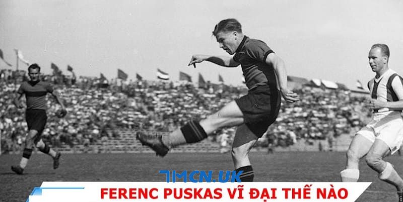 Cầu thủ Ferenc Puskas đã đạt được nhiều thành tích, danh hiệu nổi bật trong sự nghiệp của mình