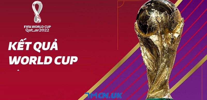 Chia sẻ top 5 trang web cung cấp kết quả bóng đá World Cup 2022 chất lượng, nhanh chóng