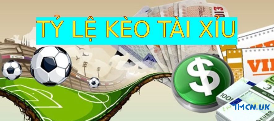 Chia sẻ top 5 trang web cung cấp tỷ lệ kèo tài xỉu hấp dẫn, đáng chơi