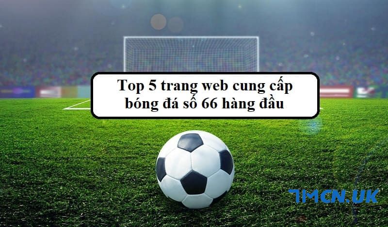 Chia sẻ top 5 trang web cung cấp bóng đá số 66 mới và chất lượng nhất