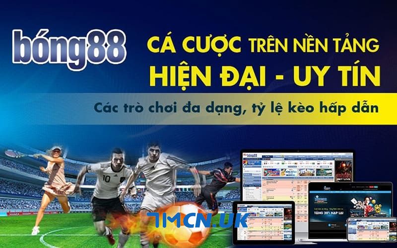 Chia sẻ top 5 trang cung link bóng đá chất lượng, uy tín