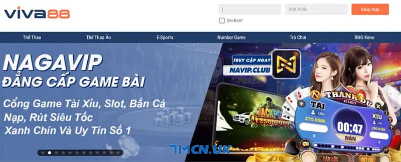 Trang viva88v.com - Nơi cung cấp link vào viva88 bet chất lượng