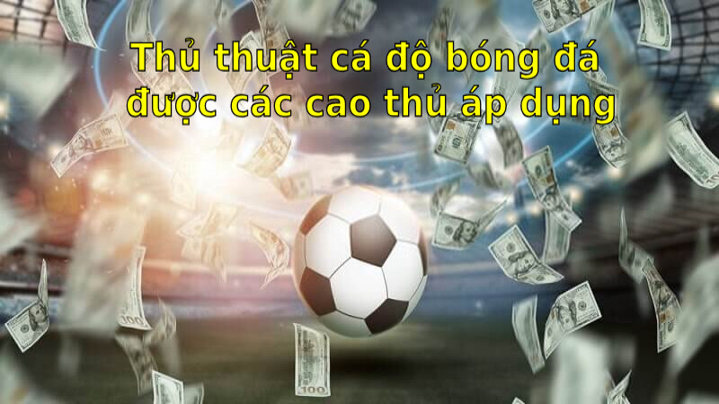 Thủ thuật cá độ bóng đá ăn ngay